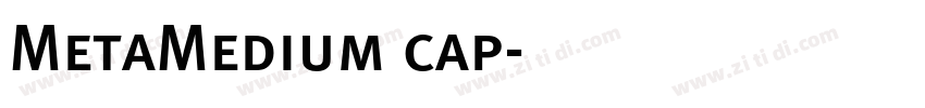 MetaMedium cap字体转换